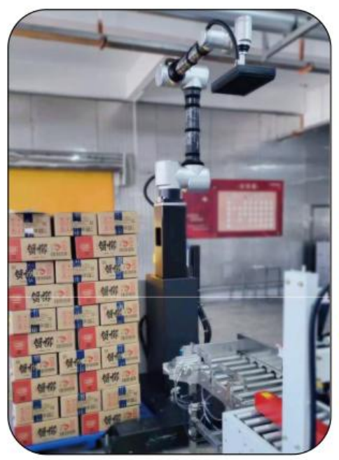 Ai-RMD30 AI İşbirliği Palletizing Robotu (≤9 Karton/Min)