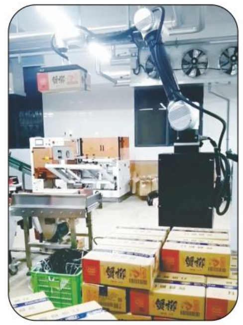 Ai-RMD30 AI İşbirliği Palletizing Robotu (≤9 Karton/Min)