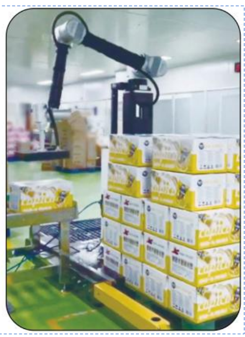 Ai-RMD30 AI İşbirliği Palletizing Robotu (≤9 Karton/Min)